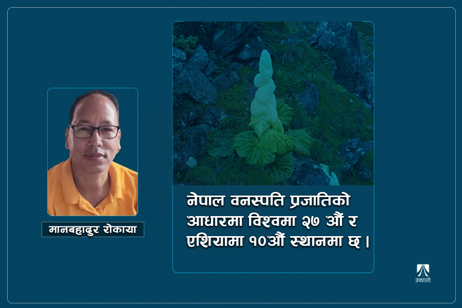 नेपालमा पाइने पदमचाल प्रजाति र प्रयोग