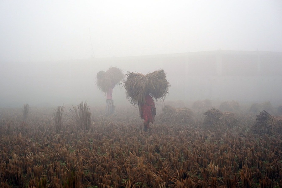 शीतलहरले महोत्तरीको जनजीवन प्रभावित, ३२३ विद्यालयको पठनपाठन ठप्प 