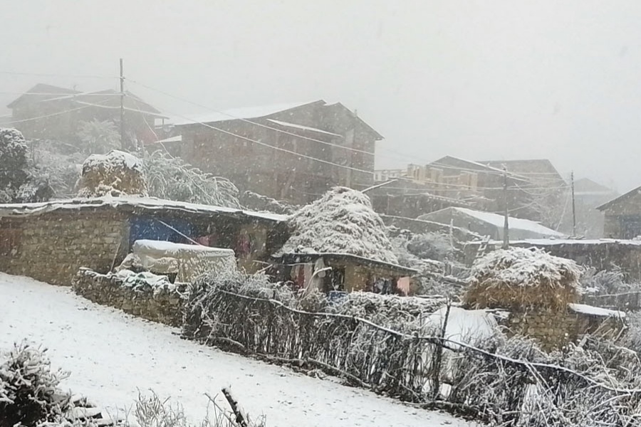 तराईमा बिहानैदेखि हुस्सु र कुहिरो, उच्च पहाडमा हिमपातको सम्भावना