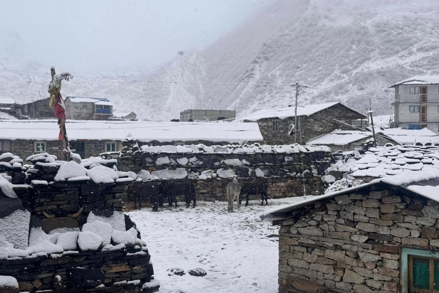 उत्तरी गोरखाको साम्दो क्षेत्रमा भारी हिमपात