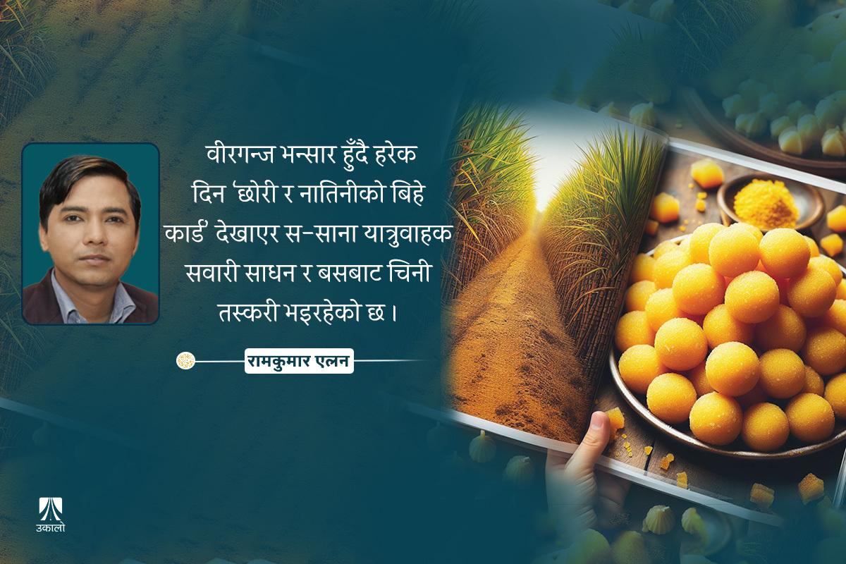 उखु प्रतिक्विन्टल ६३५, लड्डु किलोको २ हजार!