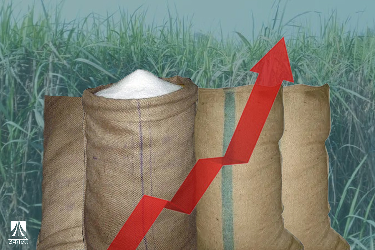 चिनीको माग धान्न सक्ने उद्योग देशमै, तर हरेक वर्ष आयातको भर