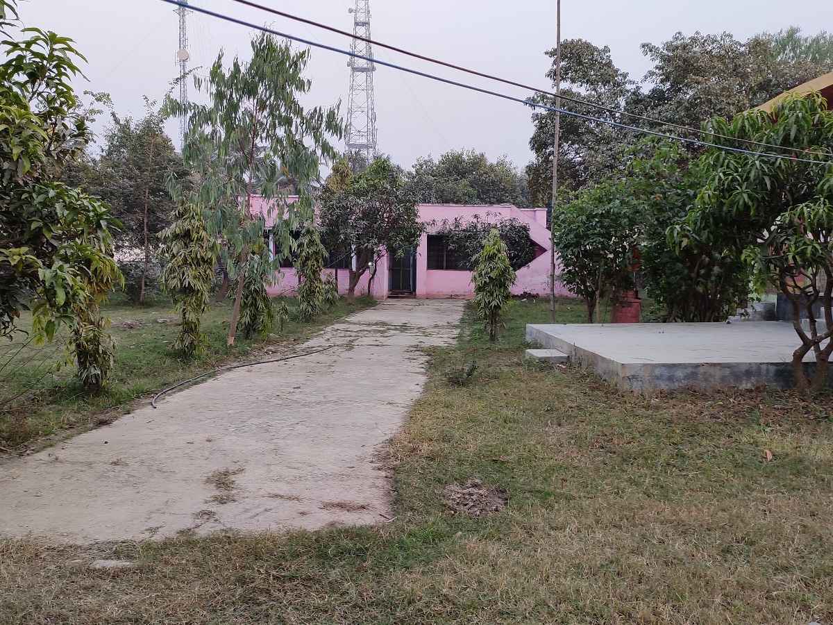 सिंगो कार्यालय एउटै कोठामा, भवन बनाउन आएको बजेट ३ वर्षदेखि फ्रिज