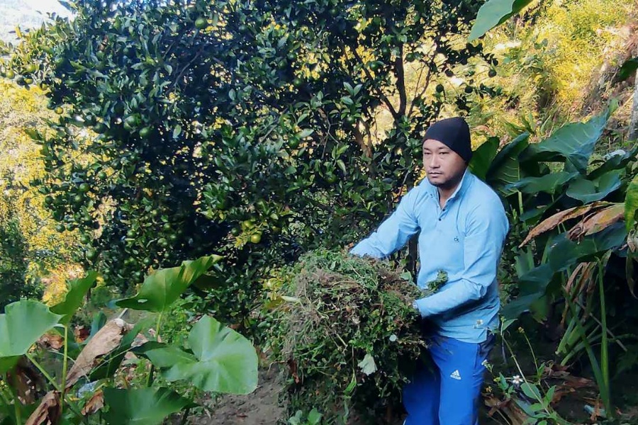 विदेशबाट फर्किएर स्वरोजगार बनेका सुमन: ड्राइभिङ सेन्टर र सुन्तलाखेती सँगसँगै