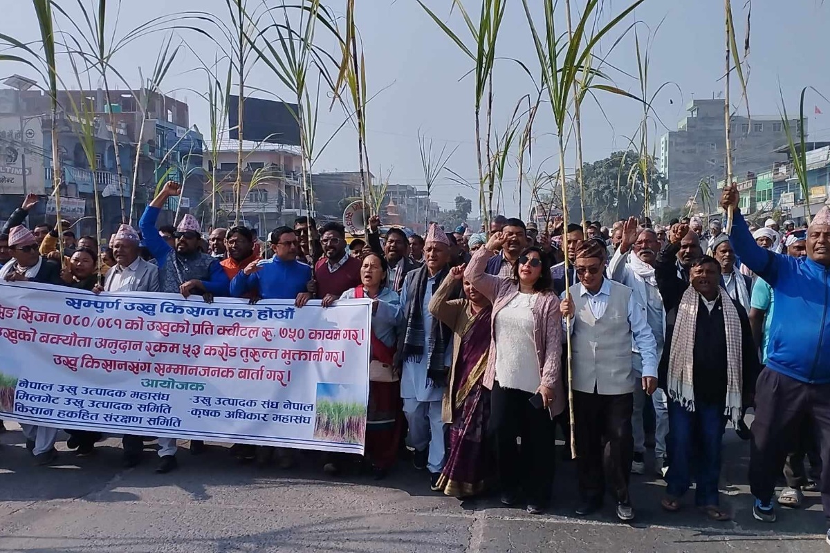 मूल्य निर्धारणको माग राख्दै उखु किसान आन्दोलित