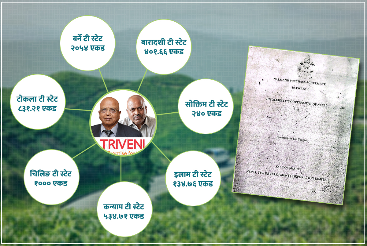 त्रिवेणी ग्रुपको ‘हित’मा गरिएको चिया विकास निगम निजीकरण, ८ हजार बिघा सरकारी जग्गा हडप्ने खेल