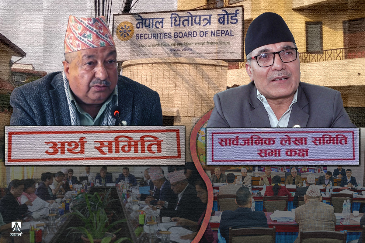 आईपीओबारे दुई संसदीय समितिका विपरीत निर्देशन, अन्योलमा धितोपत्र बोर्ड