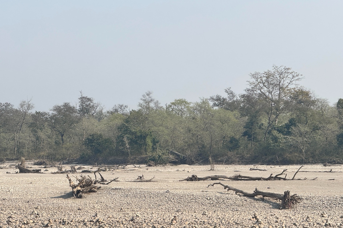​​​​​​​कर्णालीमा बर्सेनि बग्छन् करोडौँका काठ, कानूनी जटिलताले संकलनमा समस्या