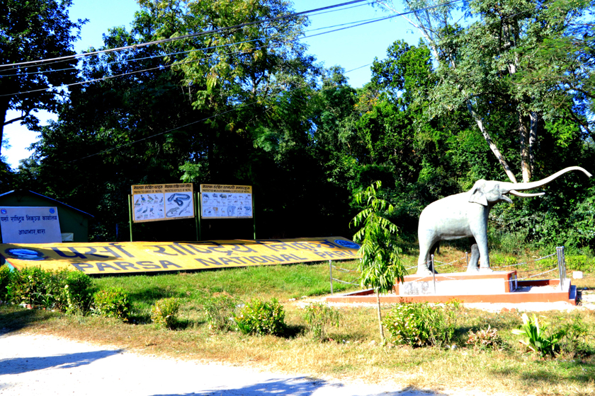 पर्सा निकुञ्जमा सेना र तस्करबीचको भिडन्तमा १ जनाको मृत्यु 
