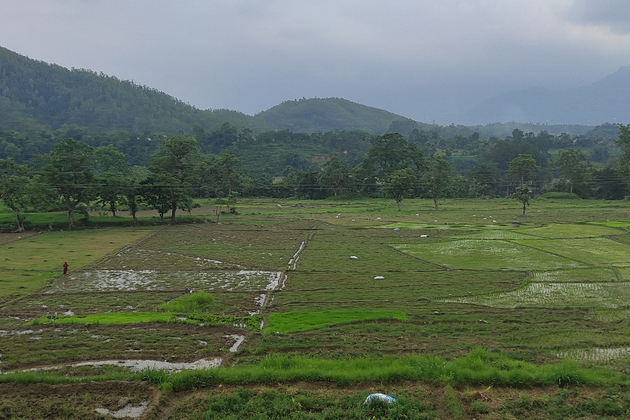 तनहुँका किसानको पीडा– पानी छैन, रोपाइँ कसरी गर्ने?