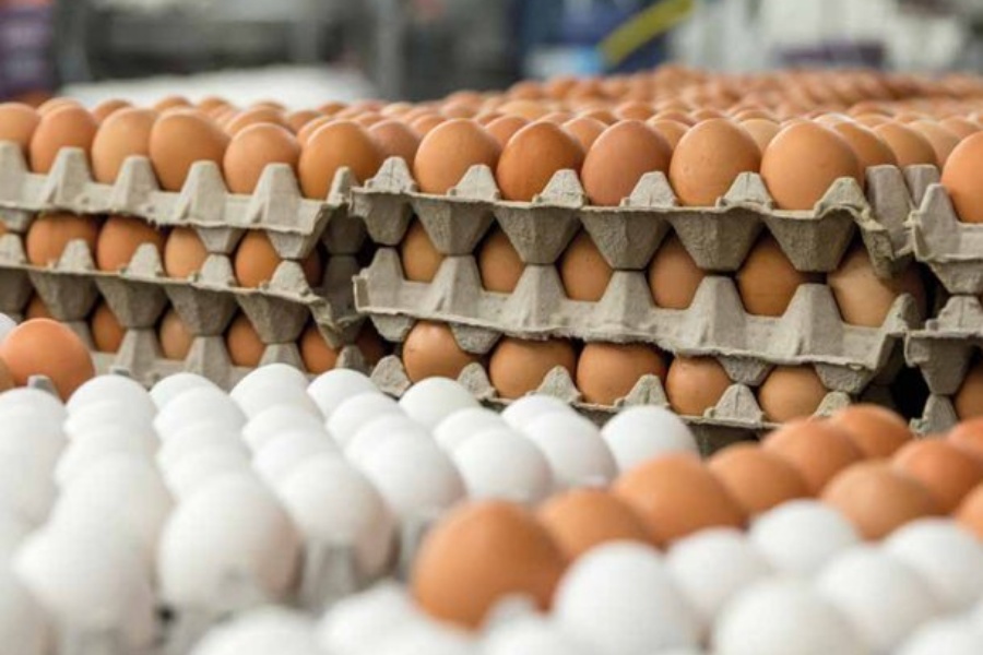 स्वास्थ्य संस्थामा गर्भ परीक्षण गर्न आउनेलाई अण्डा उपहार