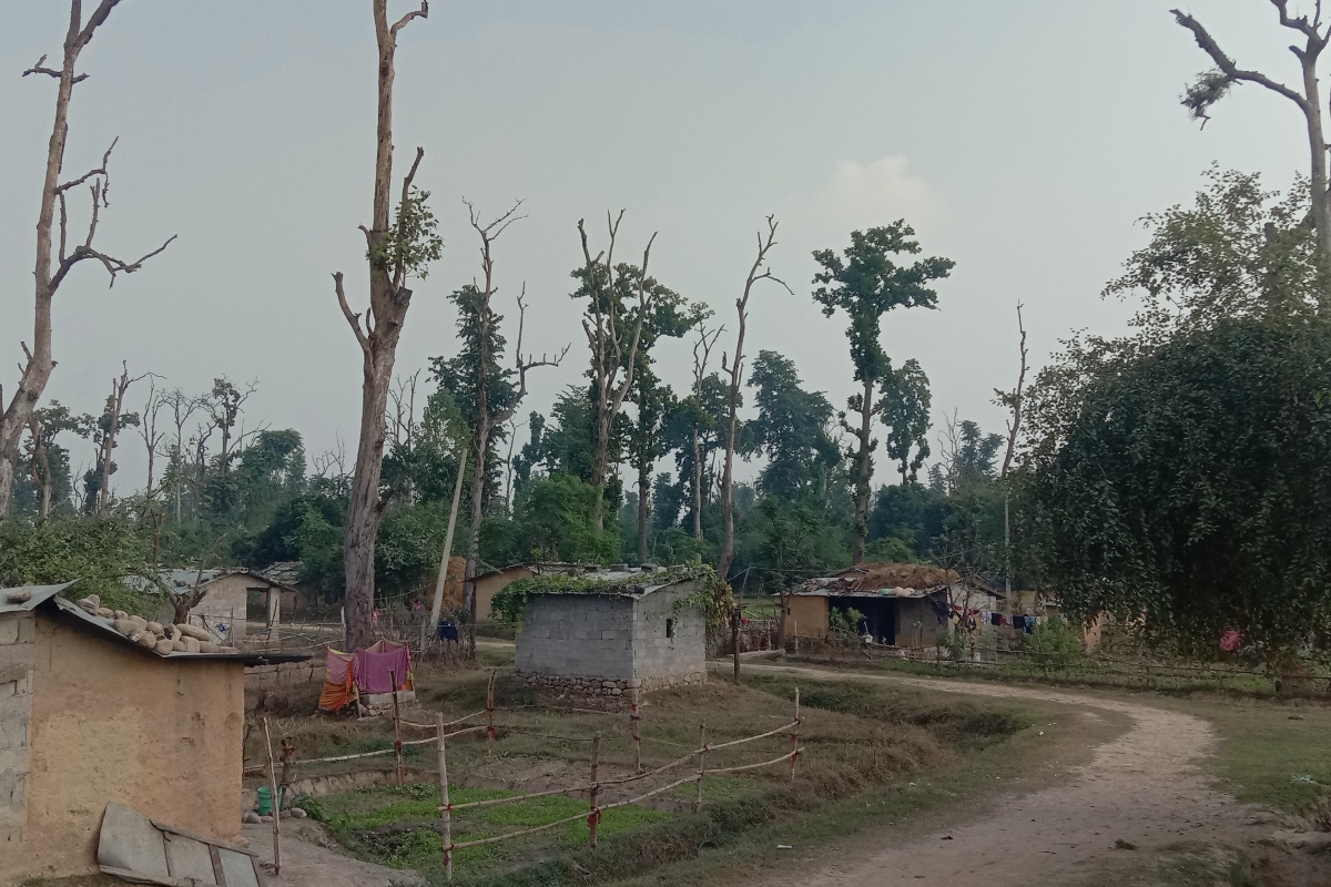 जसको २० वर्ष जग्गाको आशामा बित्यो