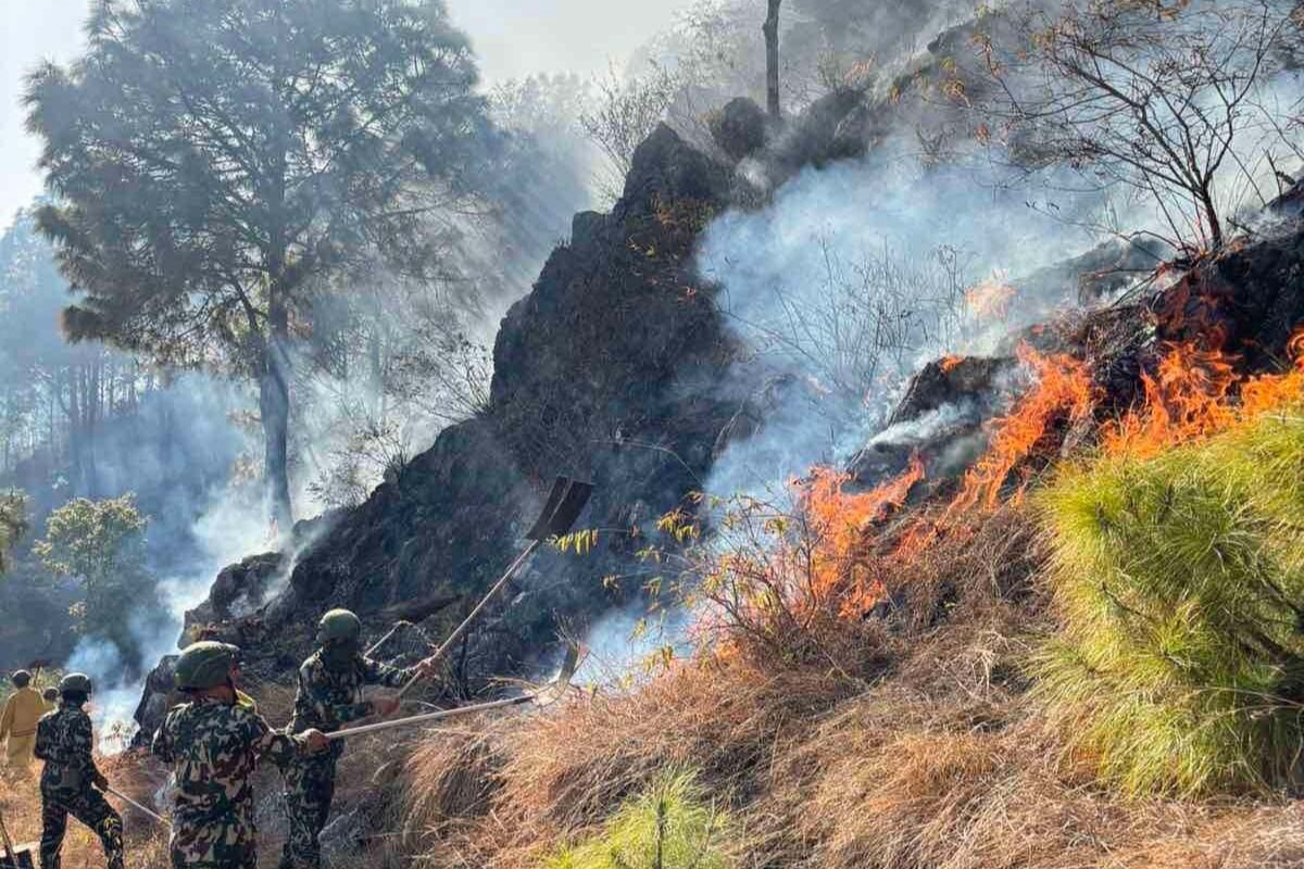 पाल्पाका चार सामुदायिक वनमा तीन दिनदेखि डढेलो 