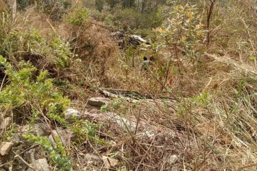 जिप दुर्घटनामा २ भुटानी नागरिकको मृत्यु, ५ घाइते