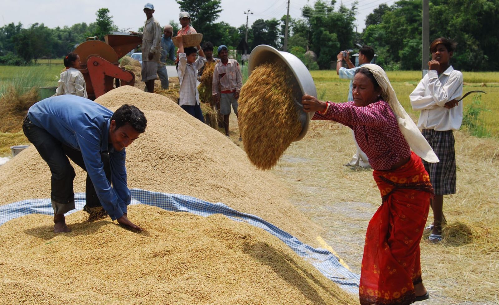 खाद्य संस्थानले धान नकिन्दा किसानलाई समस्या