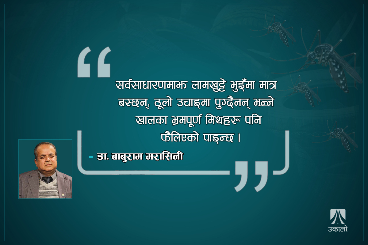 डेंगु प्रकोप: लामखुट्टेले फुल पार्ने ठाउँ पत्ता लगाएर नष्ट गरौँ