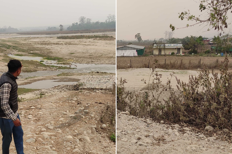 मनहरीका स्थानीयको दुःख : बस्ती छाडे, तर छाडेनन् वन्यजन्तुले
