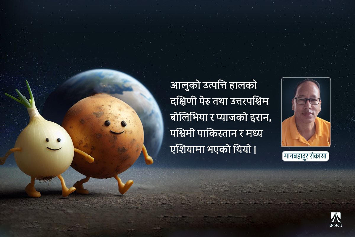 आलुप्याजको इतिहास र बहुउपयोगी गुण