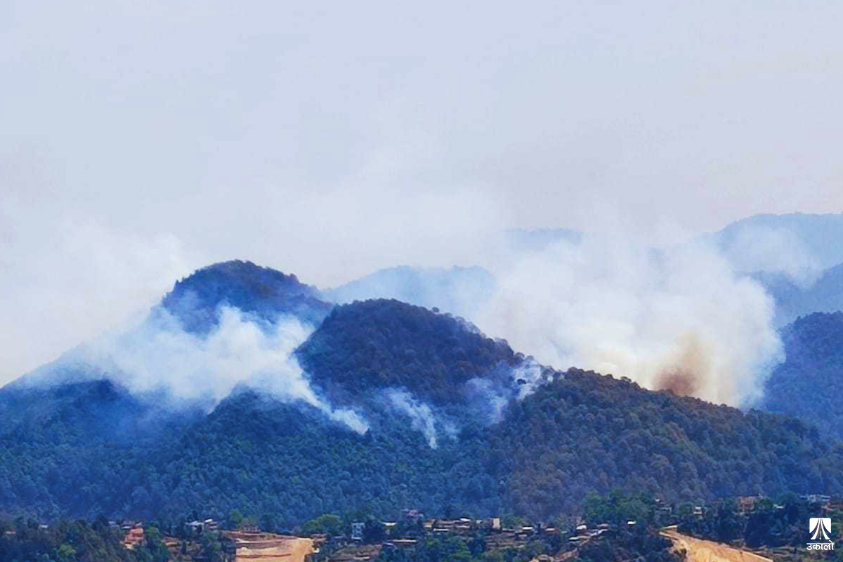 ९ वर्षमा आगोले लियो ७५७ को ज्यान, डढेलो रोकथाम र कृषि उब्जनी बढाउने ‘बायोचार’ बिर्सिइँदै 