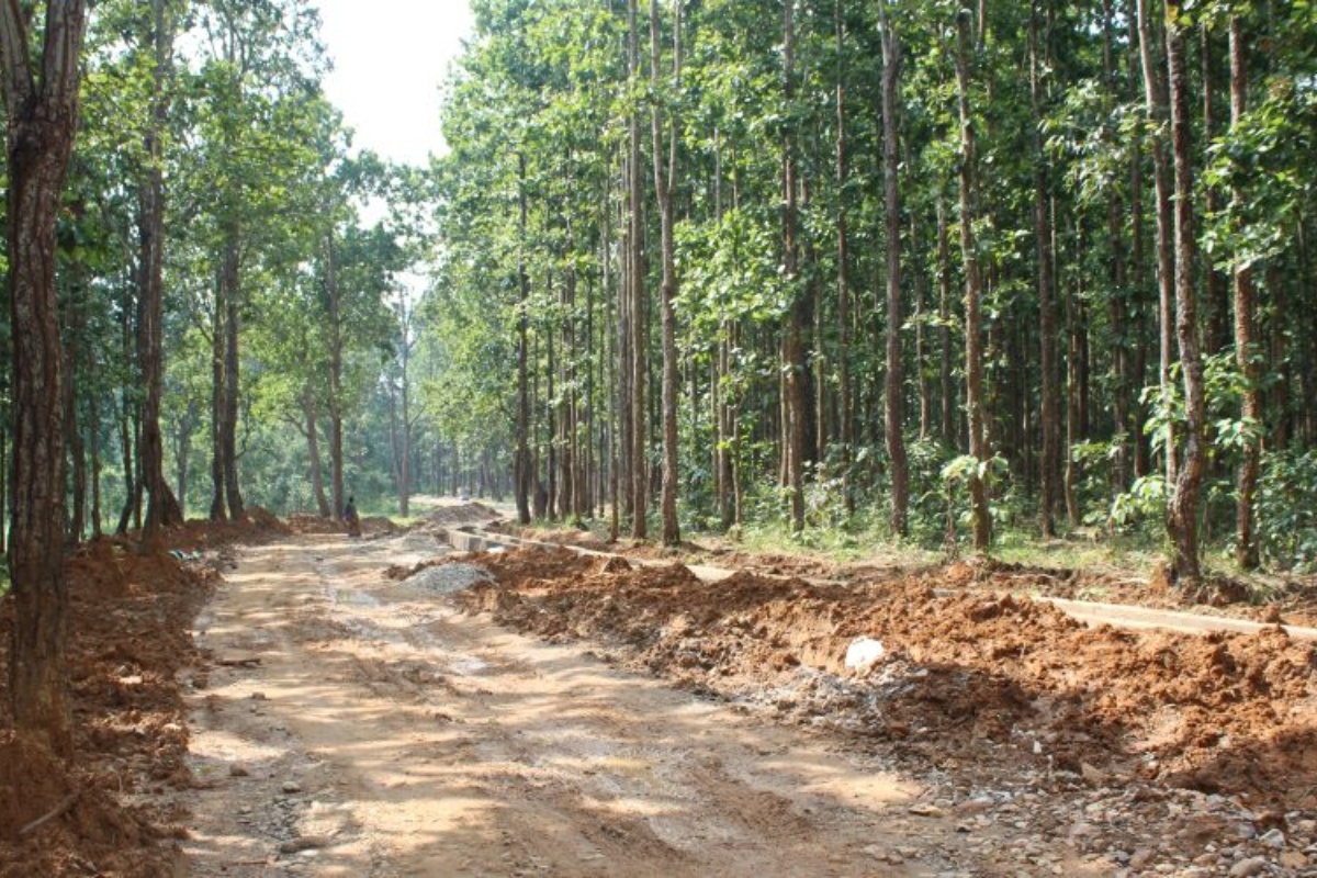 घोराही–रक्षाचौर सडक ३५ वर्षदेखि अधुरै