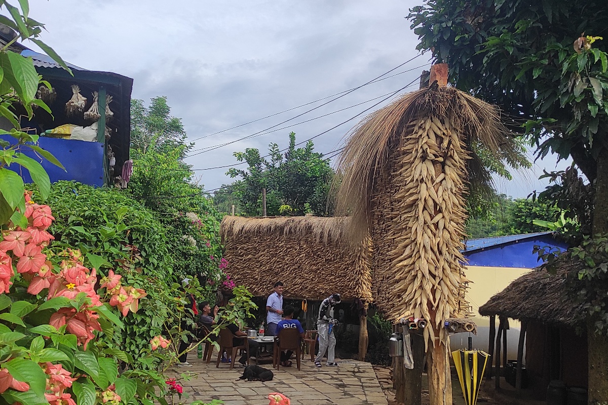 तनहुँमा बढ्यो मकै उत्पादन