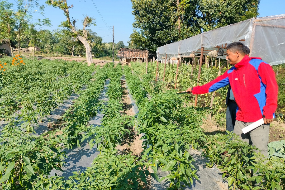 तरकारीखेती गरेर आत्मनिर्भर बन्दै मुक्तकमैया