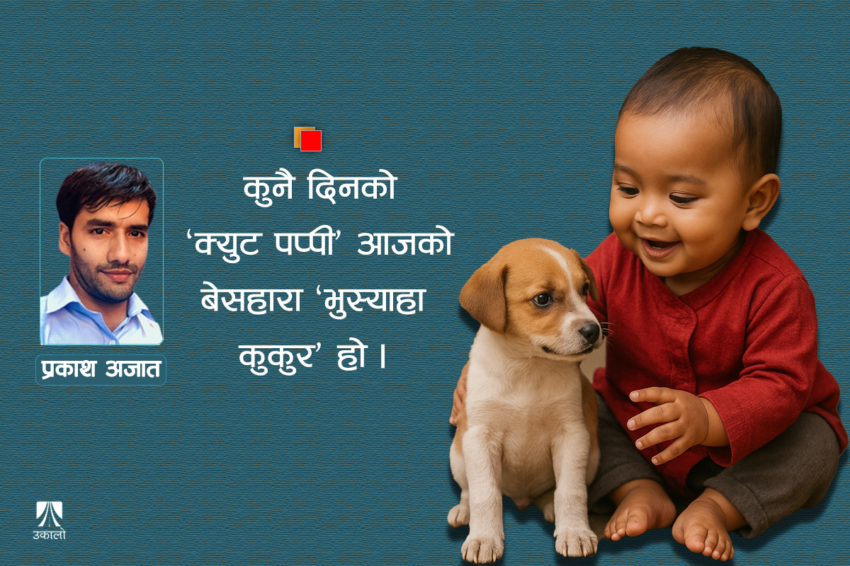 गाईपछि कुकुर: निमुखालाई सधैँ अत्याचार