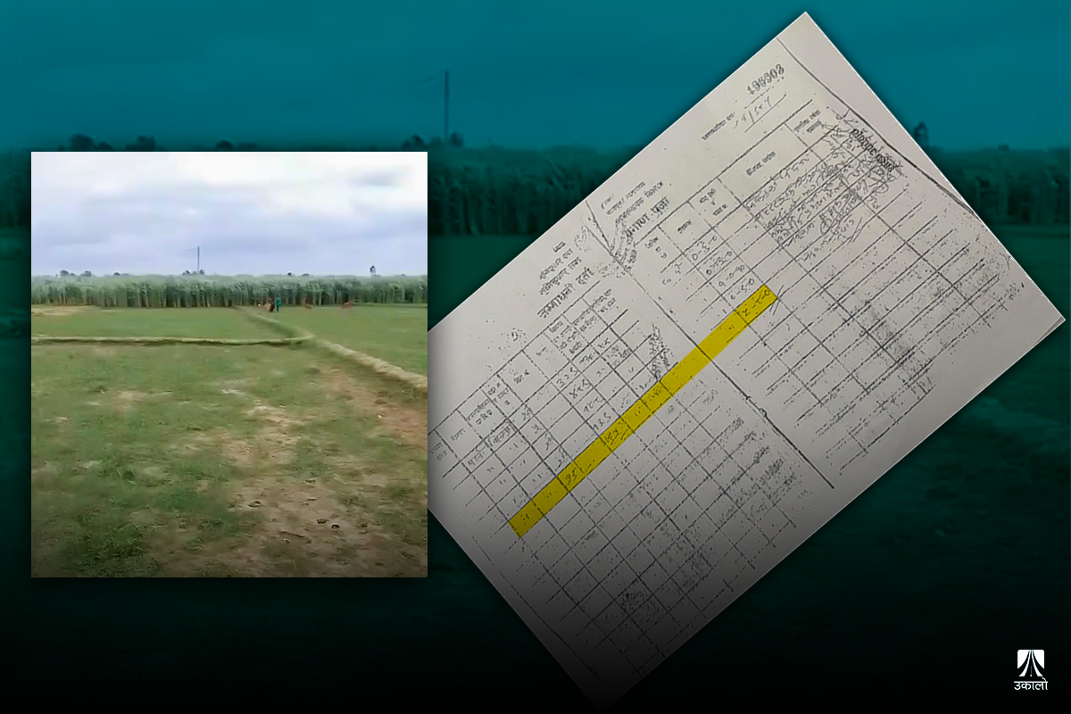 गुठीको साढे पाँच बिघा जग्गा हडप्न नक्कली लालपुर्जा