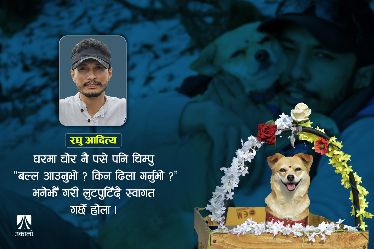 ‘सडकवंशी’ चिम्पुको कथा