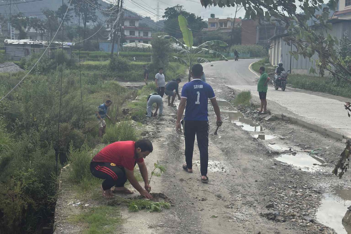 सडकमै केराको बोट रोपेर विरोध