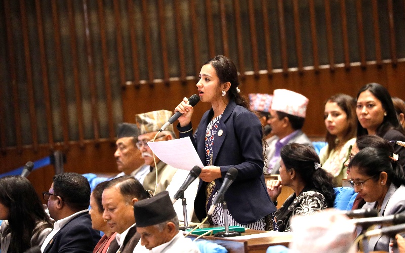 ‘भिजिट भिसा’ प्रकरणमा छानबिन समितिको माग गर्दै रास्वपा र राप्रपाले बहिष्कार गरे संसद् बैठक