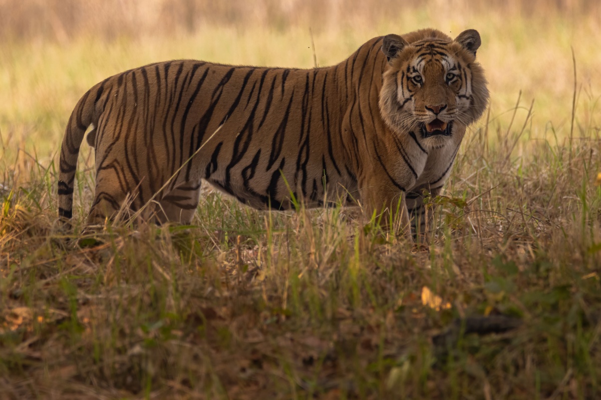 पर्यटक लोभ्याउने सम्पदाहरू [तस्वीरहरू]