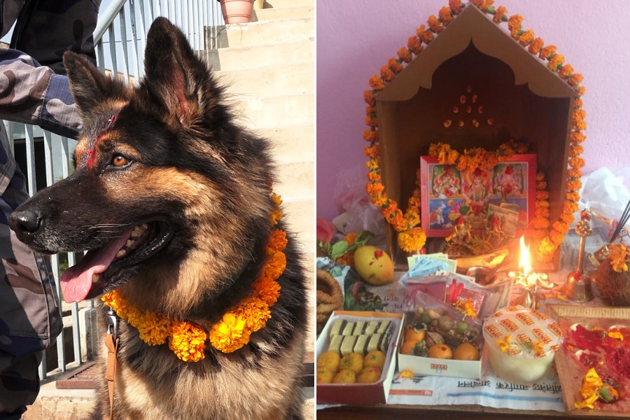 आज बिहान कुकुर तिहार, साँझ लक्ष्मी पूजा