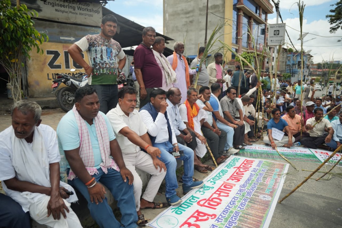 सरकारले निकासा गर्‍यो उखु किसानको अनुदान