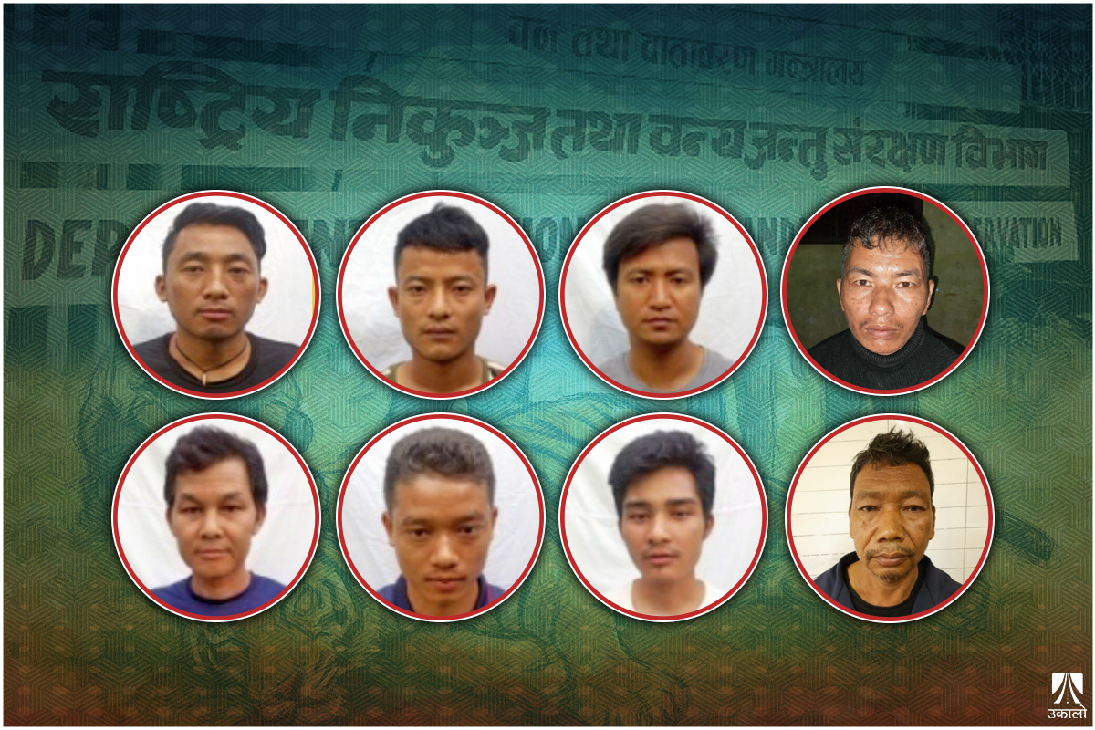 वन्यजन्तु शिकार–तस्करीका नामुद अभियुक्तहरू कारागार बाहिरै, संरक्षणमा बढ्यो चुनौती